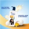 CLINIC PLUS Strength & Shine Shampoo, 650 ml, for Smooth and Strong Hair, with Egg Protein, Enhances Shine, Suitable for all Hair Types