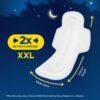 Stayfree Secure Nights XXL | 40 Pads| Cottony Soft Sanitary Pads for Women | Upto 100% leakage protection | Buy XXL at XL price | Absorbs 2x Faster with Wider Back