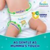 Pampers Complete Skin Comfort Pants| Pant style Diaper | Anti-Rash blanket lotion with Vit E and Aloe Vera | All night protection with leak proof technology