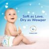 Wowper Baby Diaper Pants | Wetness Indicator | Anti Rash | up to 12 hrs Absorption | 4-8 Kg | Super Soft