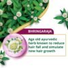 Himalaya Anti-Hair Fall Bhringaraja Shampoo, Reduces Hair Fall, Makes Hair Healthy, With Bhringaraja & Palasha,for men and women, 650ml