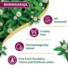 Himalaya Anti-Hair Fall Bhringaraja Shampoo, Reduces Hair Fall, Makes Hair Healthy, With Bhringaraja & Palasha,for men and women, 650ml