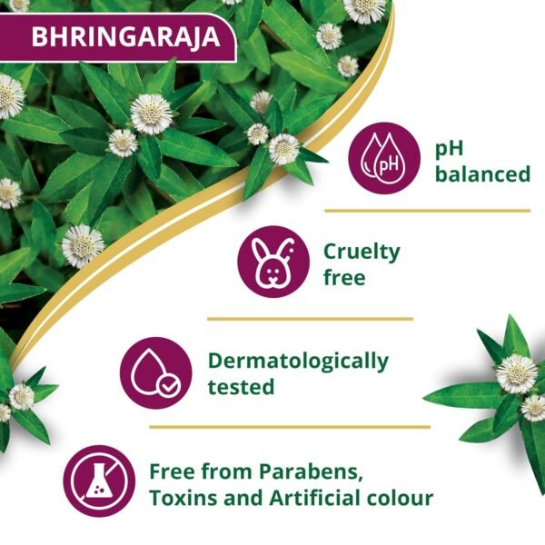 Himalaya Anti-Hair Fall Bhringaraja Shampoo, Reduces Hair Fall, Makes Hair Healthy, With Bhringaraja & Palasha,for men and women, 650ml