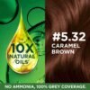 Garnier, Hair Colouring Creme, Long-lasting Colour, Smoothness & Shine, Color Naturals, Shade: 5.32 Caramel Brown, 70ml + 60g