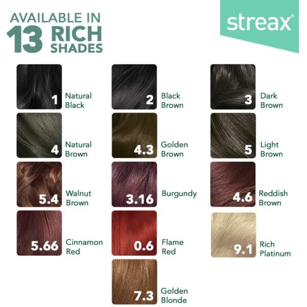 Streax Women's Crème Permanent Hair Colour - 3 Dark Brown Hair Color, 100% Grey Coverage,Ammonia Free Hair Color, Long Lasting Hair Colour, Colourant Tube 60G, Developer Bottle 60Ml, Conditioner 20G